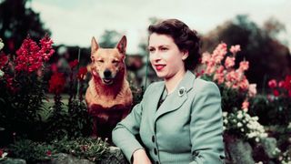 Queen Elizabeth and corgis