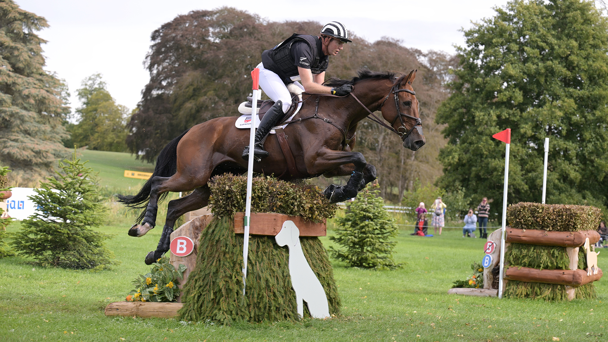 Jesse Campbell, a rider in a blue and white striped hat, steers Speedwell, a bay horse, over a brush fence at Blenheim Horse Trials 2026