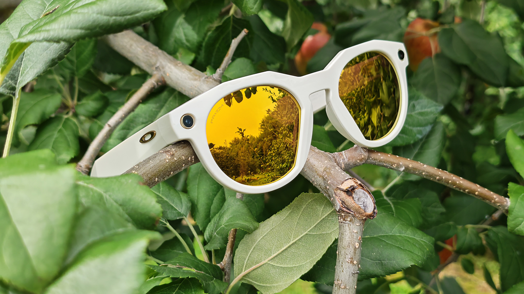 A pair of warm white Oakley Meta HSTN smart glasses with gold PRIZM lenses in a peach tree