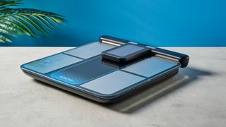 a body fat smart scale by renpho with a pull out handle to measure limb fat percentage and silver electrodes and a blue and black casing rests on a surface in front of a blue background