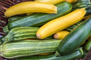 yellow and green courgette