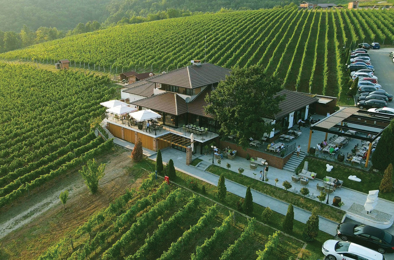 tarpos winery, serbia
