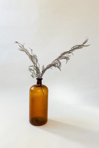 vase with plant in it