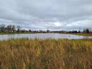 Galaxy S20 FE 1x zoom wide-angle photo