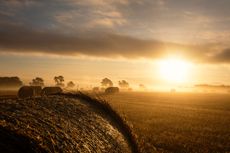 Farming sunrise