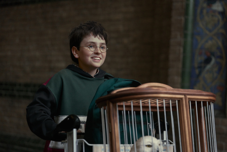 Harry Potter
