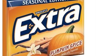 Pumpkin Spice Extra gum