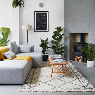 modern grey living room with berber rug, grey sofa and houseplants
