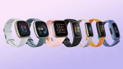 Which Fitbit should you get