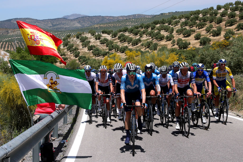 ALCALA LA REAL SPAIN MAY 19 Juri Hollmann of Germany and Movistar Team Abner Gonzalez Rivera of Puerto Rico and Movistar Team Toms Skujins of Latvia and Team Trek Segafredo Thomas Sprengers of Belgium and Team Sport Vlaanderen Baloise blue Intermediate sprint Jersey The peloton passing through Olive Trees landscape during the 67th Vuelta A Andalucia Ruta Del Sol 2021 Stage 2 a 183km stage from Iznajar to Alcal la Real 1028m VCANDALUCIA on May 19 2021 in Alcala la Real Spain Photo by Gonzalo Arroyo MorenoGetty Images