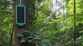 A Silvanet sensor hanging on a tree