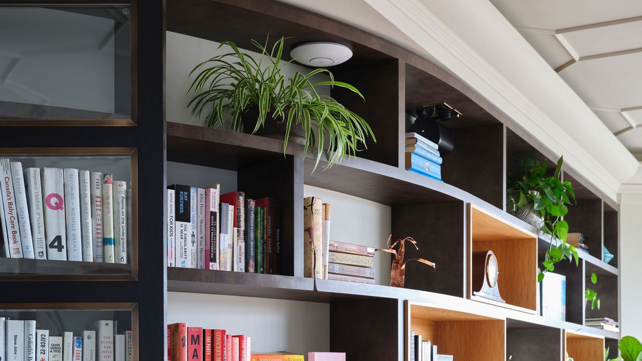 Large bookshelf in home with houseplants including spider plant