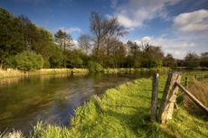 A stretch of the chalkstream river Itchen near Twyford, Hampshire.