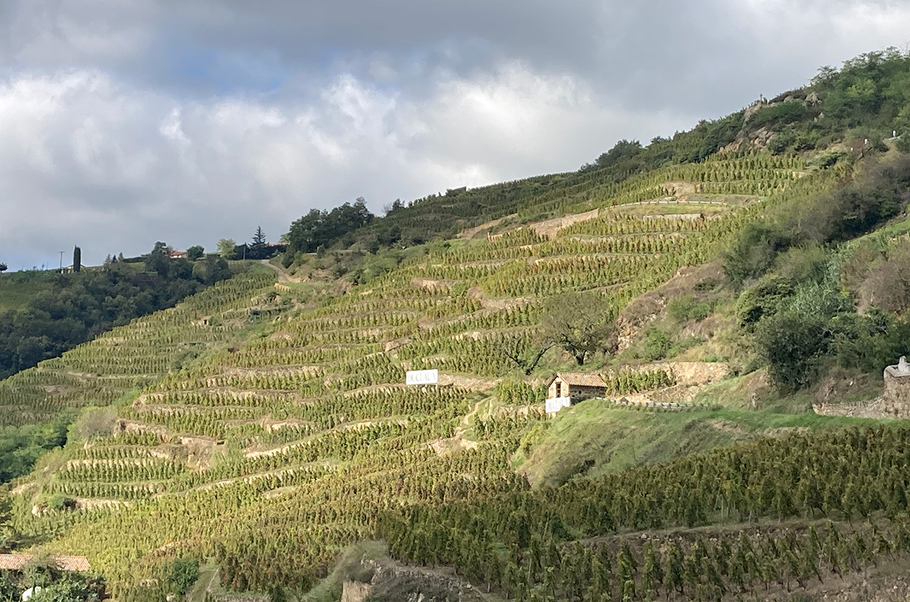 Duclaux-Cote-Rotie-vineyards.jpg