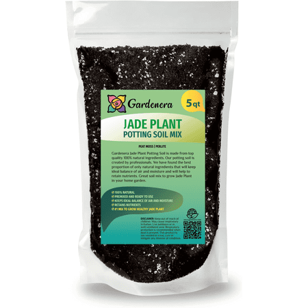 Jade Plant Potting Soil 