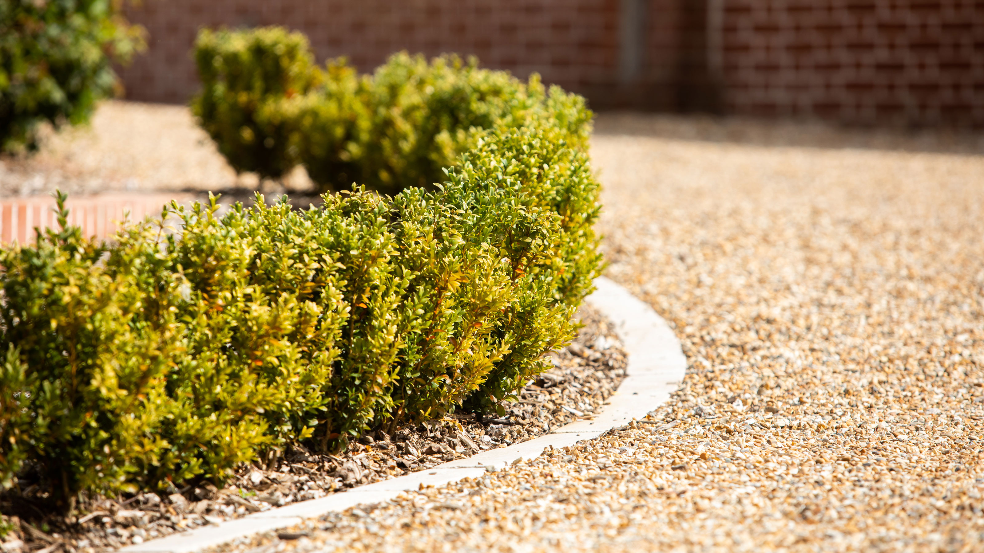 buff gravel driveway with gravel grid and low box hedge