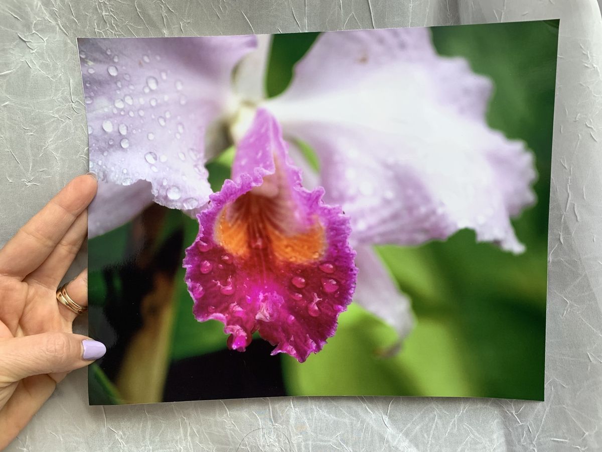 FreePrints Photo Printing