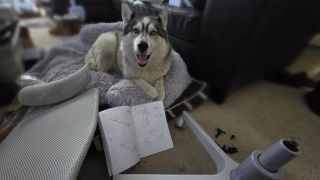 Ikea Matchspel gaming chair being put together plus dog overseeing events.