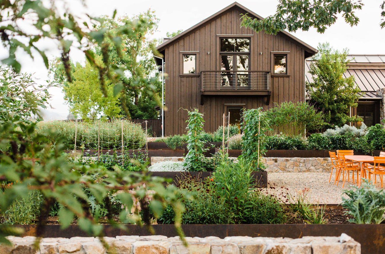 Vegetables growning in Wheeler Farms' kitchen garden.
