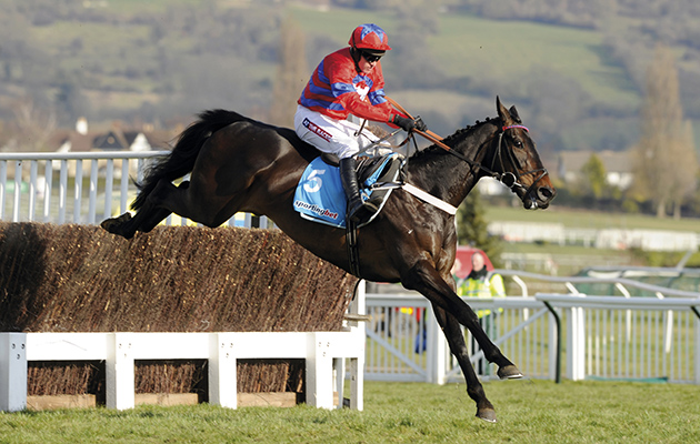 Sprinter Sacre