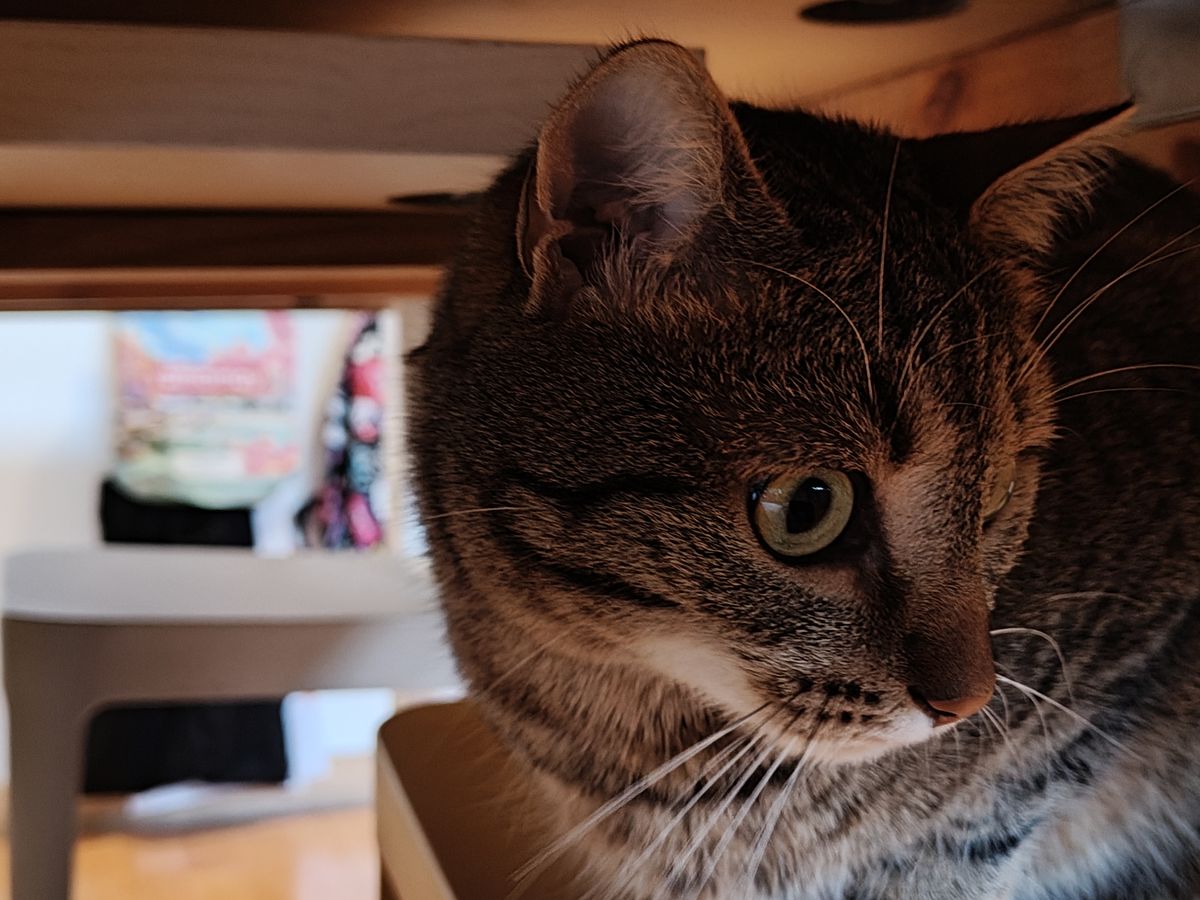 realme 14 Pro+