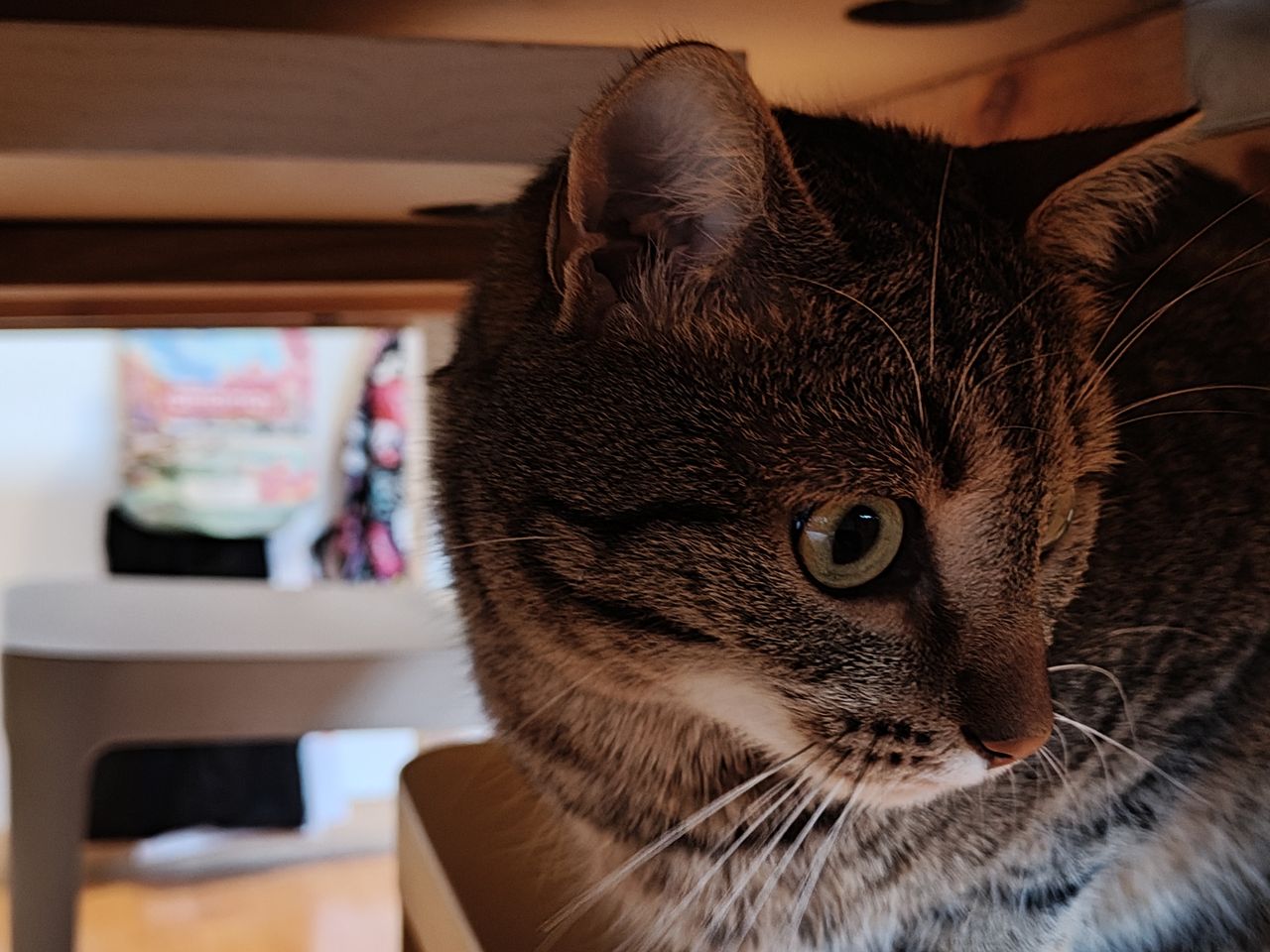 realme 14 Pro+