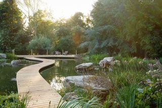 water garden with boardwalk, boulders in the water and decking and