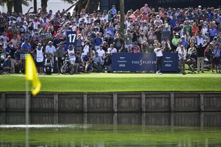 The 17th green and tee shot at TPC Sawgrass during the 2025 Players Championship