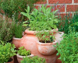 Terracotta tiered herb pot