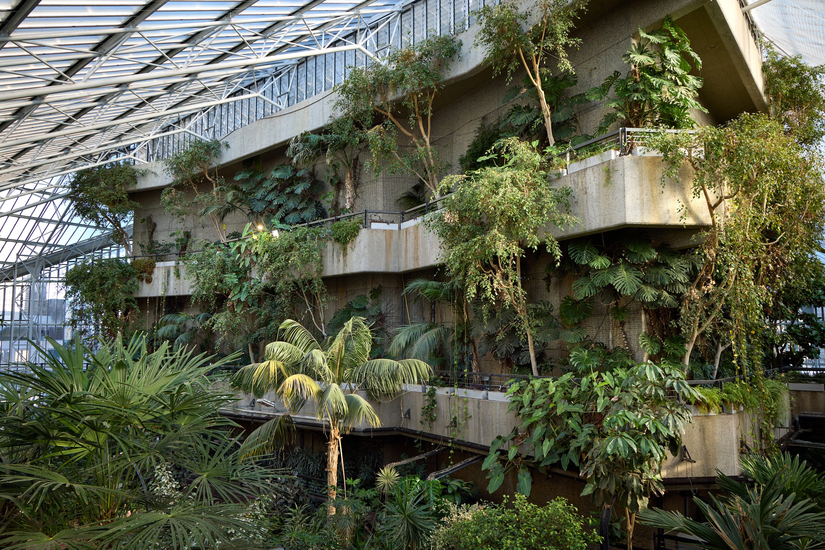 Barbican Conservatory to be redesigned by harris bugg studio