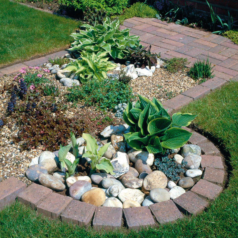 garden area with plants and rocks