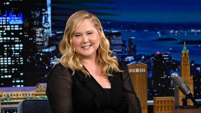 Comedian & actress Amy Schumer during an interview on Tuesday, February 13, 2024.