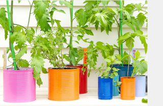 tin cans upcycled into colourful planters