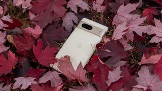 The Pixel 7 lying in red leaves