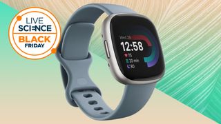 Fitbit versa black price online