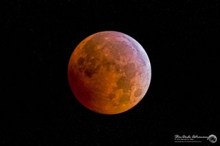 Lunar Eclipse Seen in San Diego Image