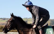 Galopin Des Champs spearheads Willie Mullins' 2025 Cheltenham Festival contenders.