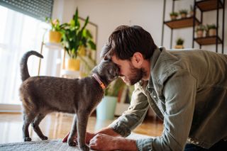 Cat head butting man