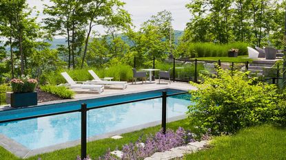 backyard pool and plants