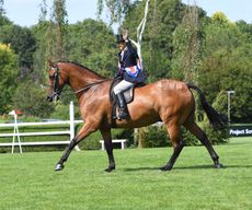 RIHS-22.07.2143605.jpg