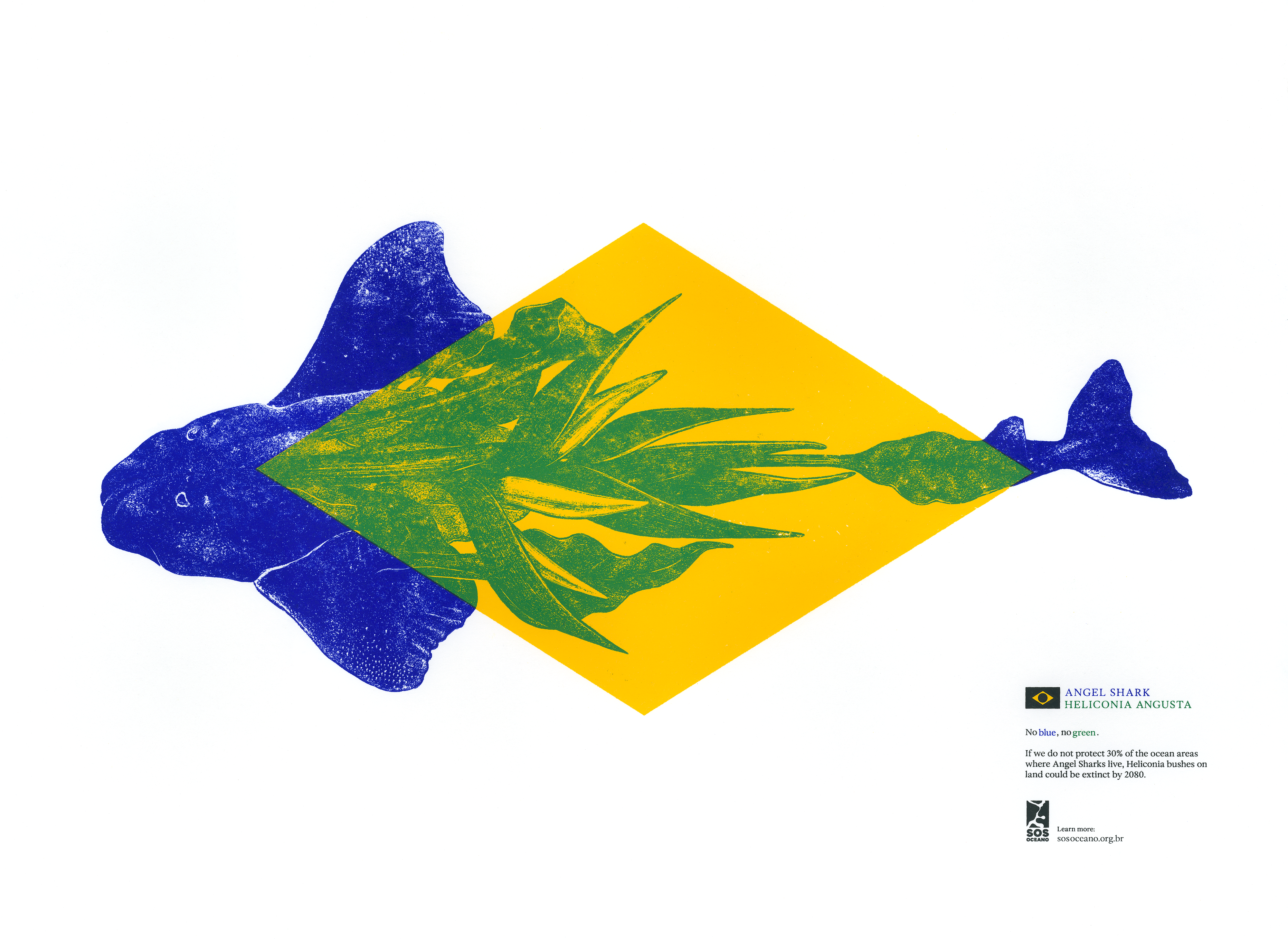 Brazilian flag reimagined for a campaign to raise awareness of ocean conservation