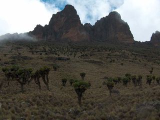 Mount Kenya Natural Park