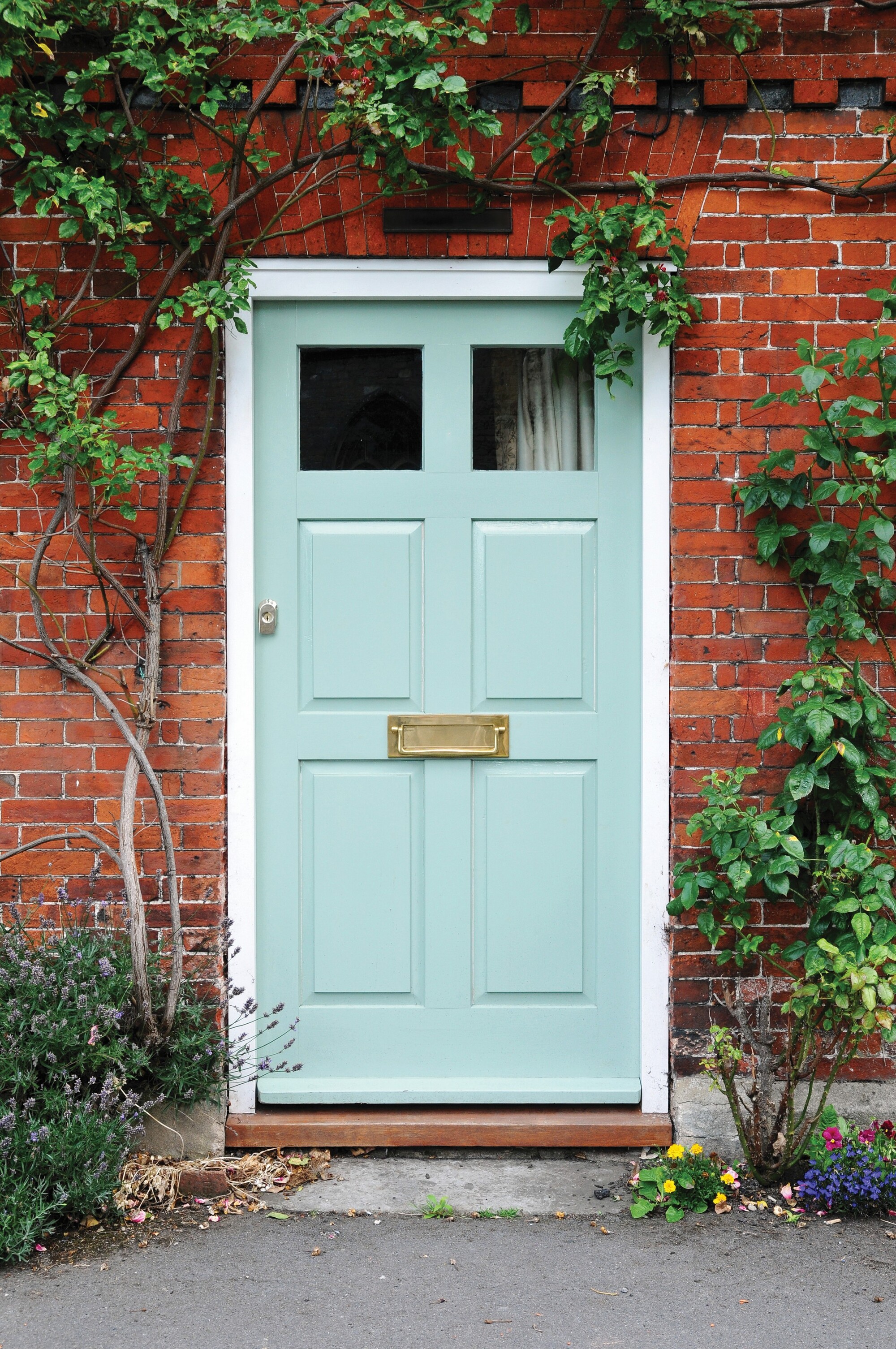 Image of a light blue front door on a red brick house with crawling vines growing around the door.