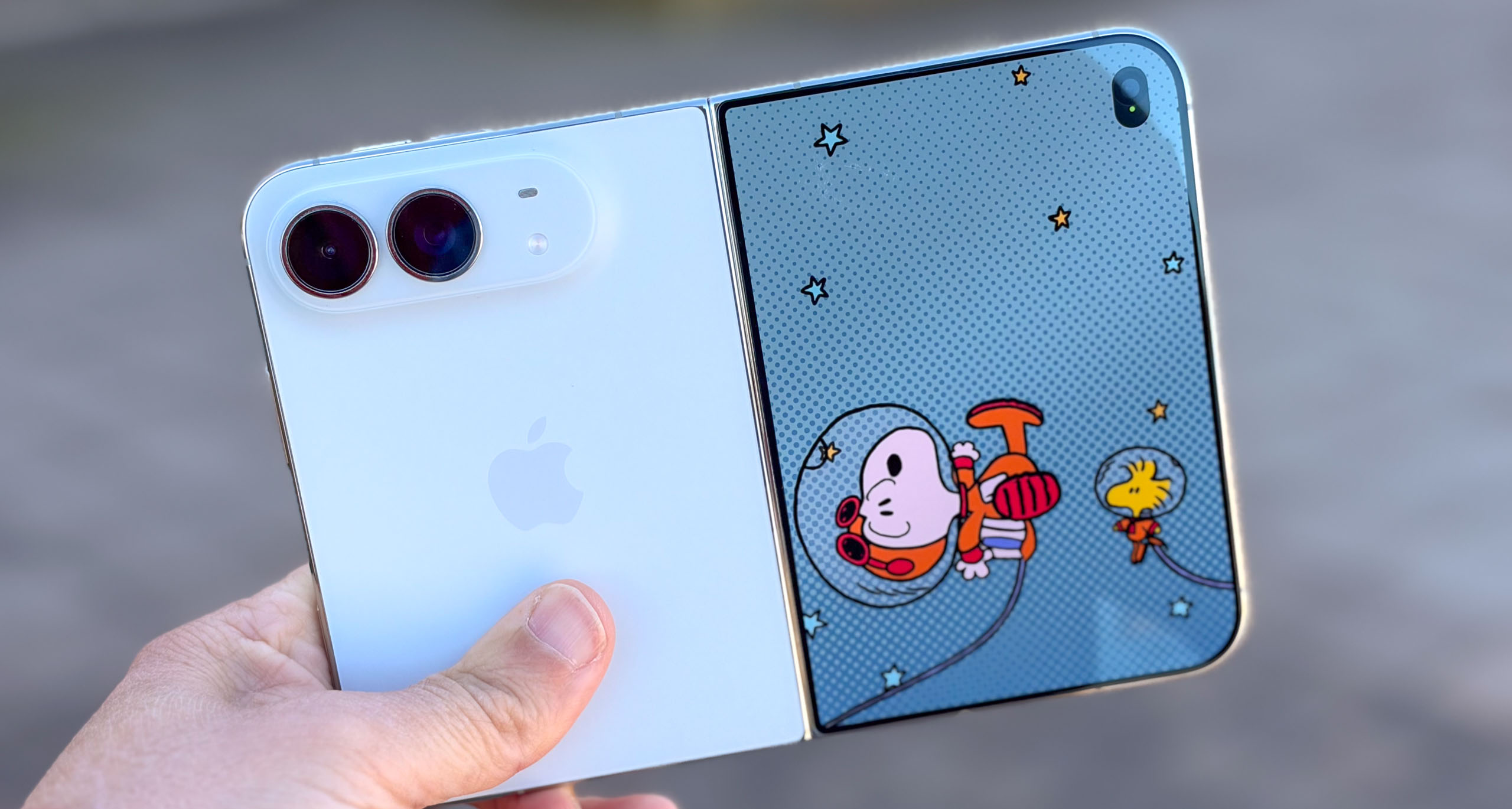 iPhone Duo