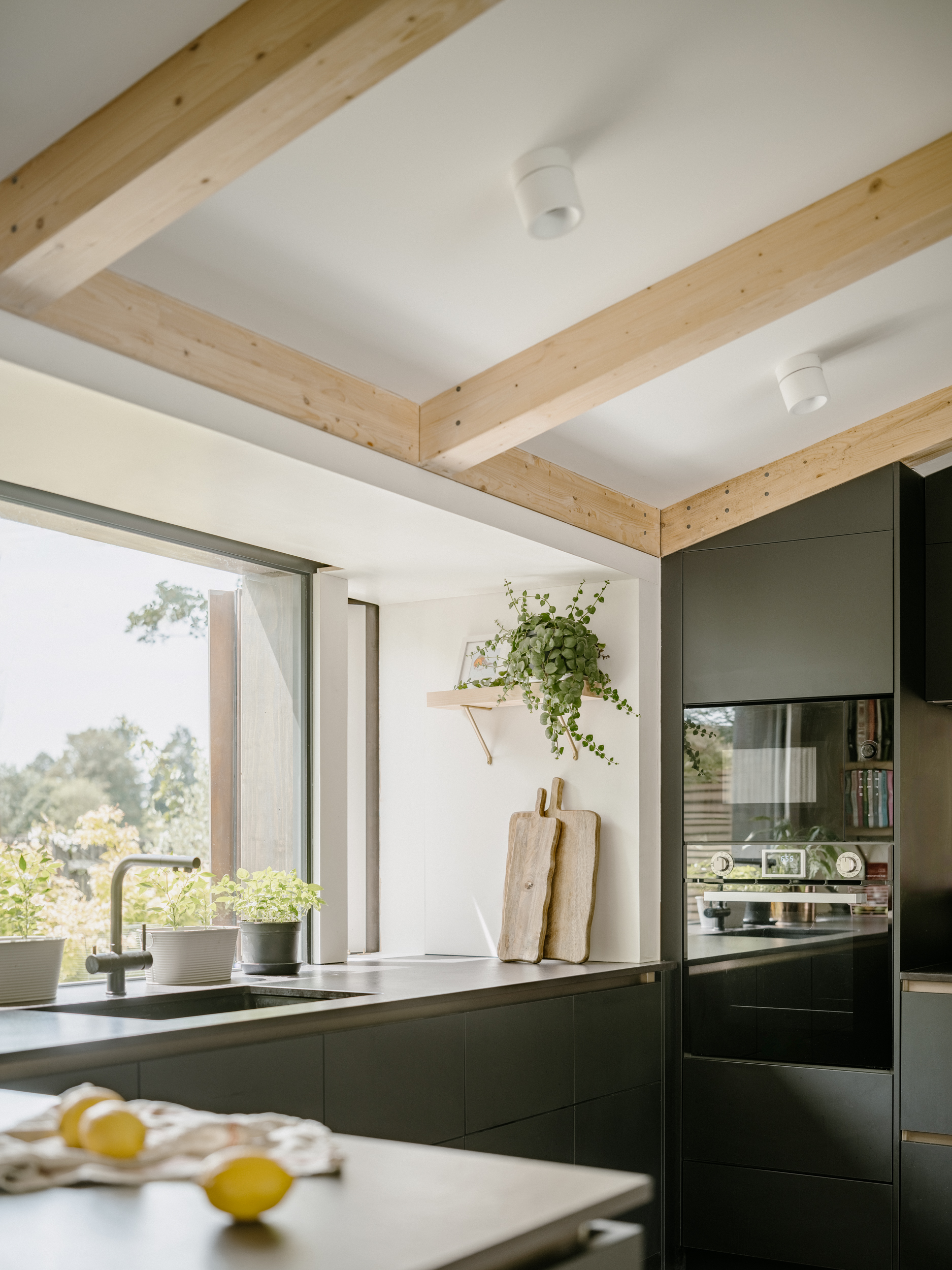 london houseboat designed by tiggcoll architects, 'the floating house'