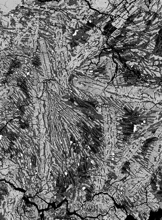 Crystal structure in the eucrite meteorite ALHA81001. The image represents a 0.5 by 0.35 mm section of the meteorite under backscatter electron microscopy.