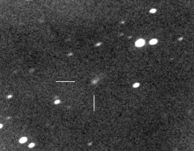 Comet ISON Spotted by Amateur Astronomer