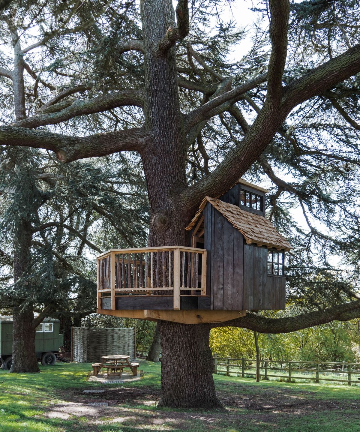 A small dark-wood treehouse with a shingled roof and balcony, built around the trunk of a large tree in a grassy area.
