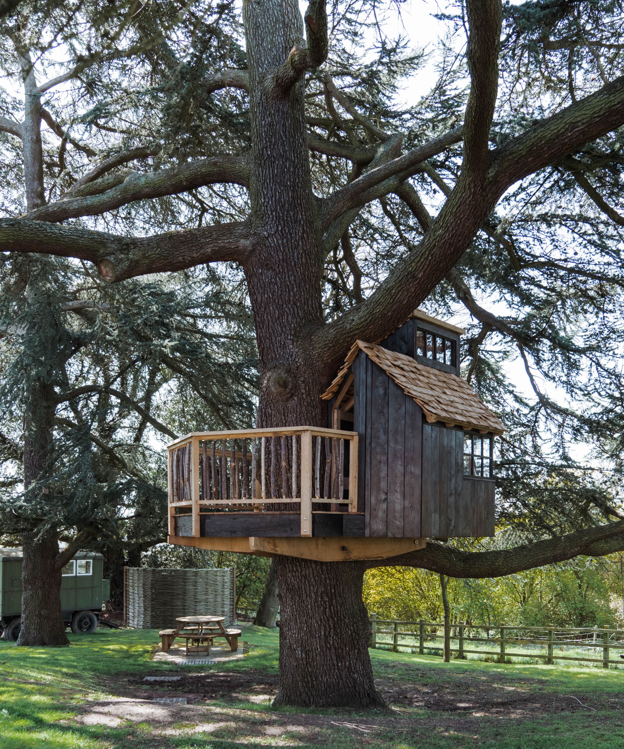 A small dark-wood treehouse with a shingled roof and balcony, built around the trunk of a large tree in a grassy area.