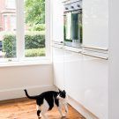 timber floor with cat white window